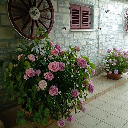 Apartman Sunce Умаг Екстер'єр фото